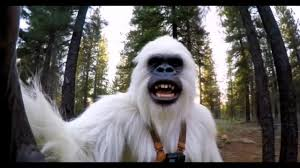 Yeti Character